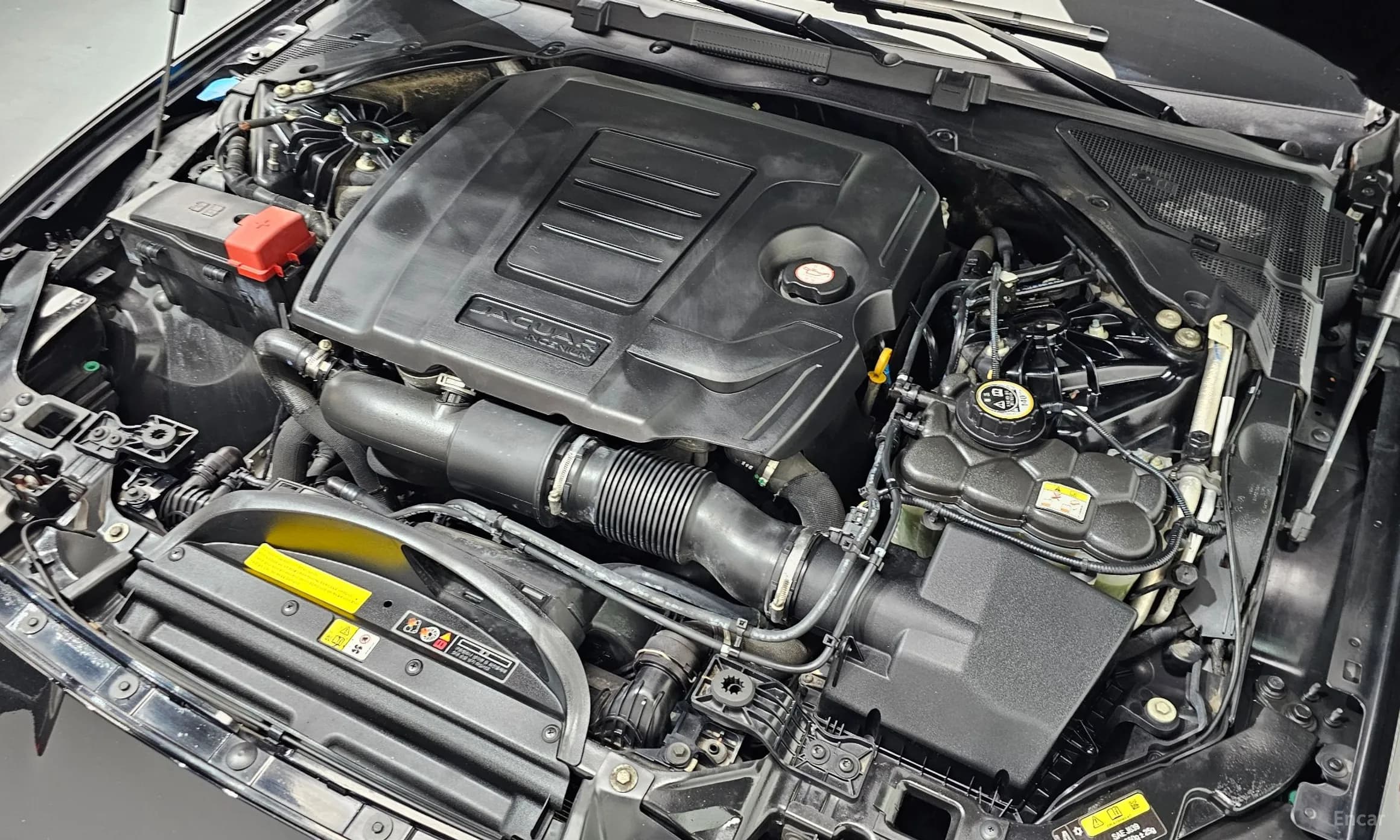 XF (x260)