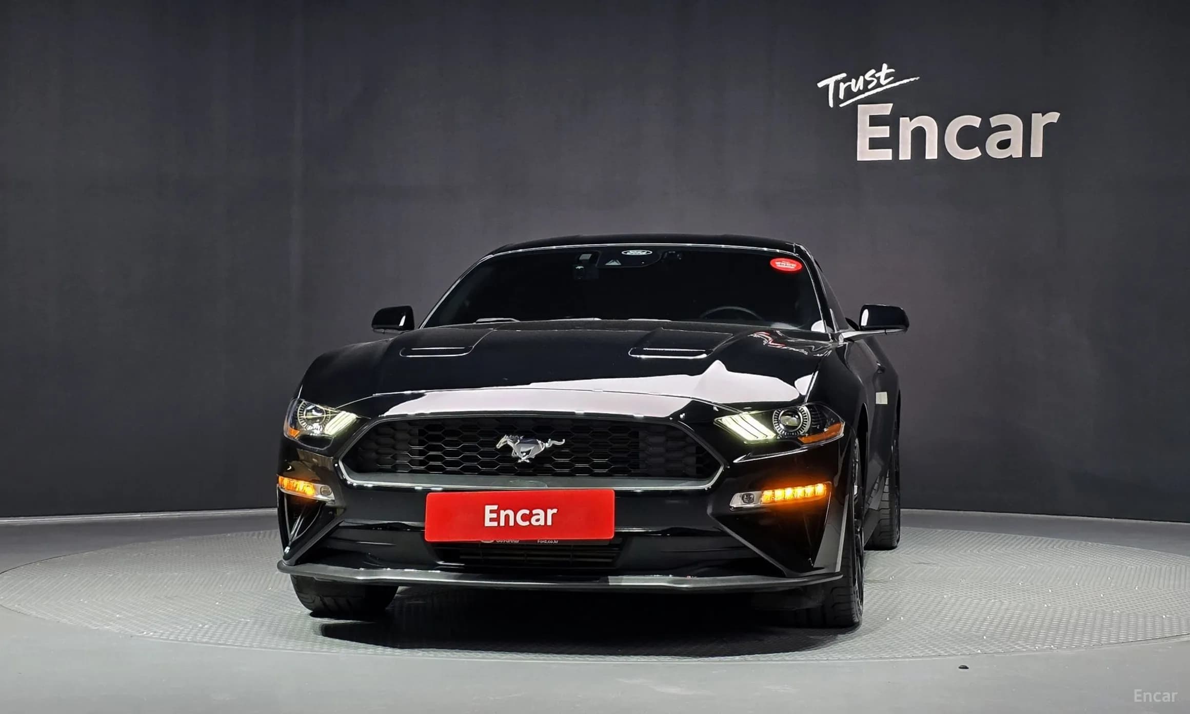 Mustang