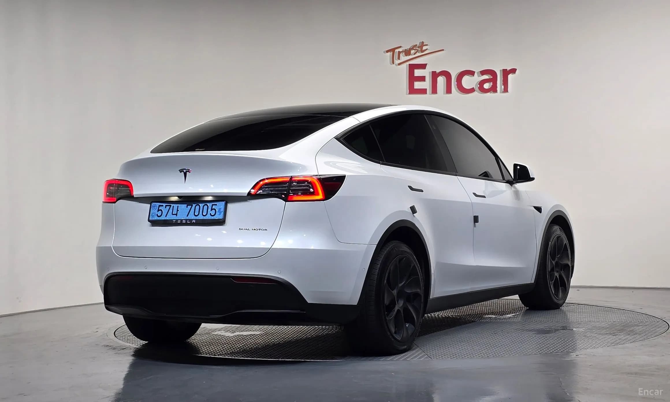 Model Y