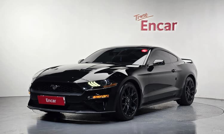 Mustang