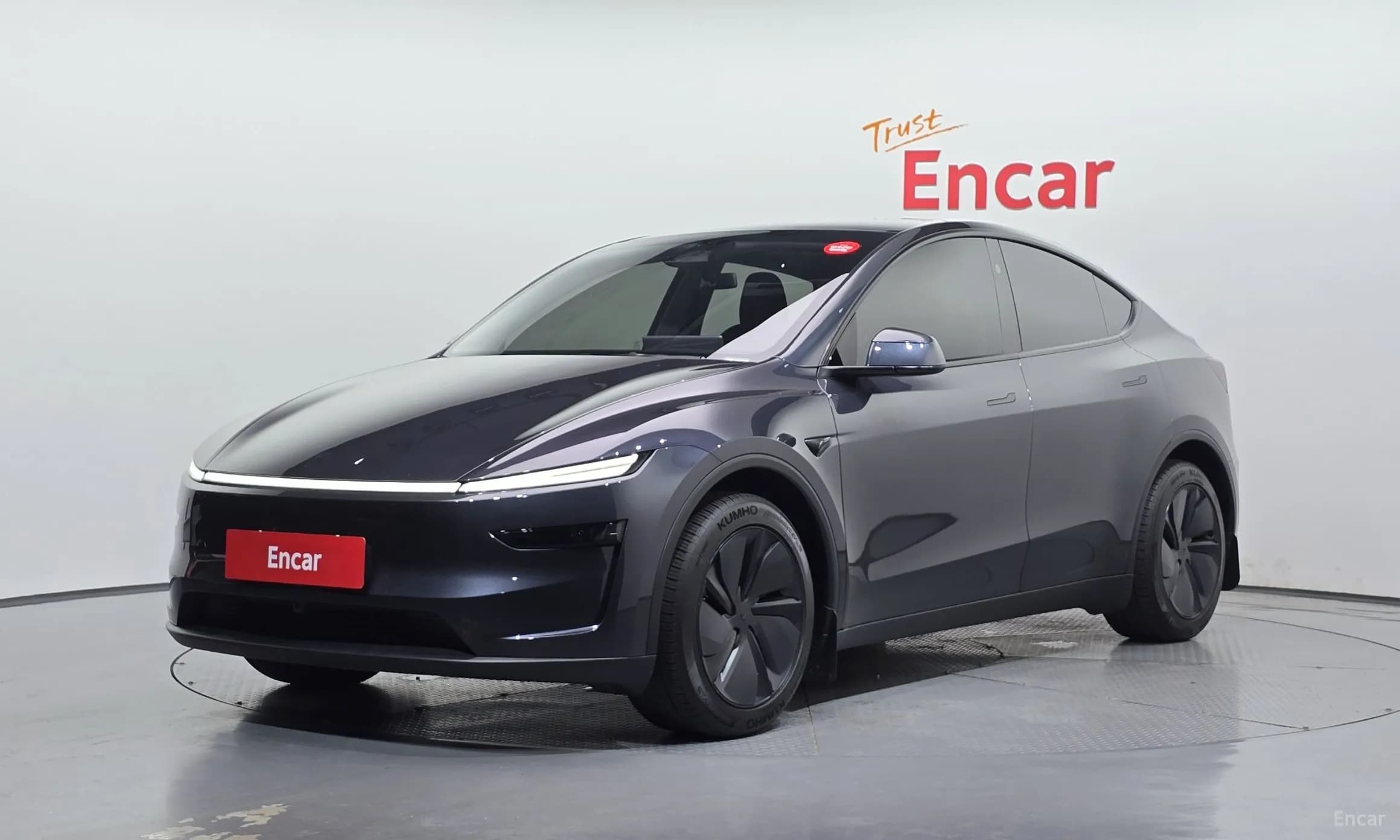 Model Y