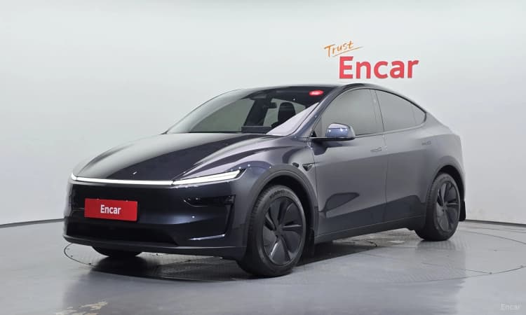 Model Y