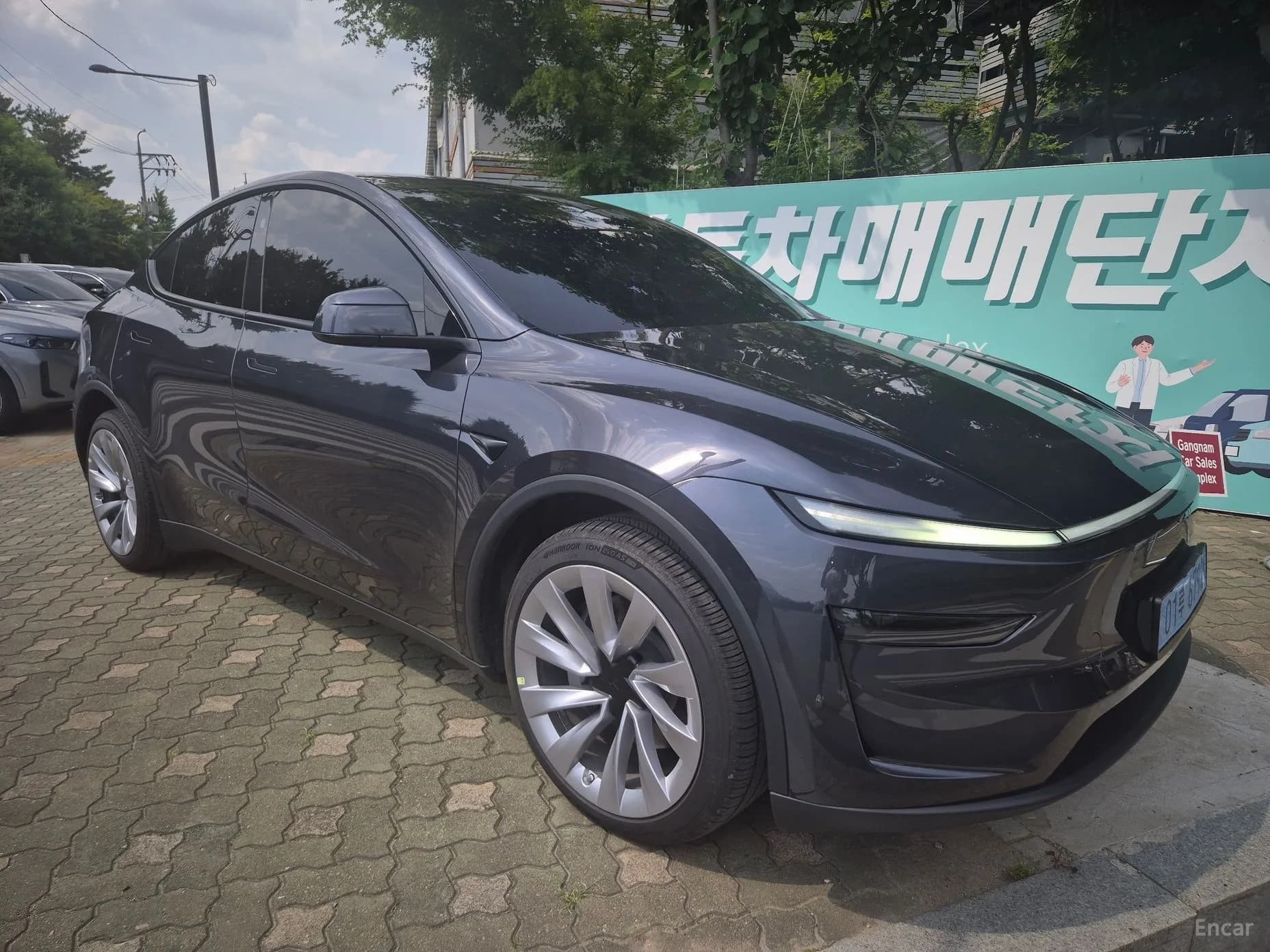 Model Y