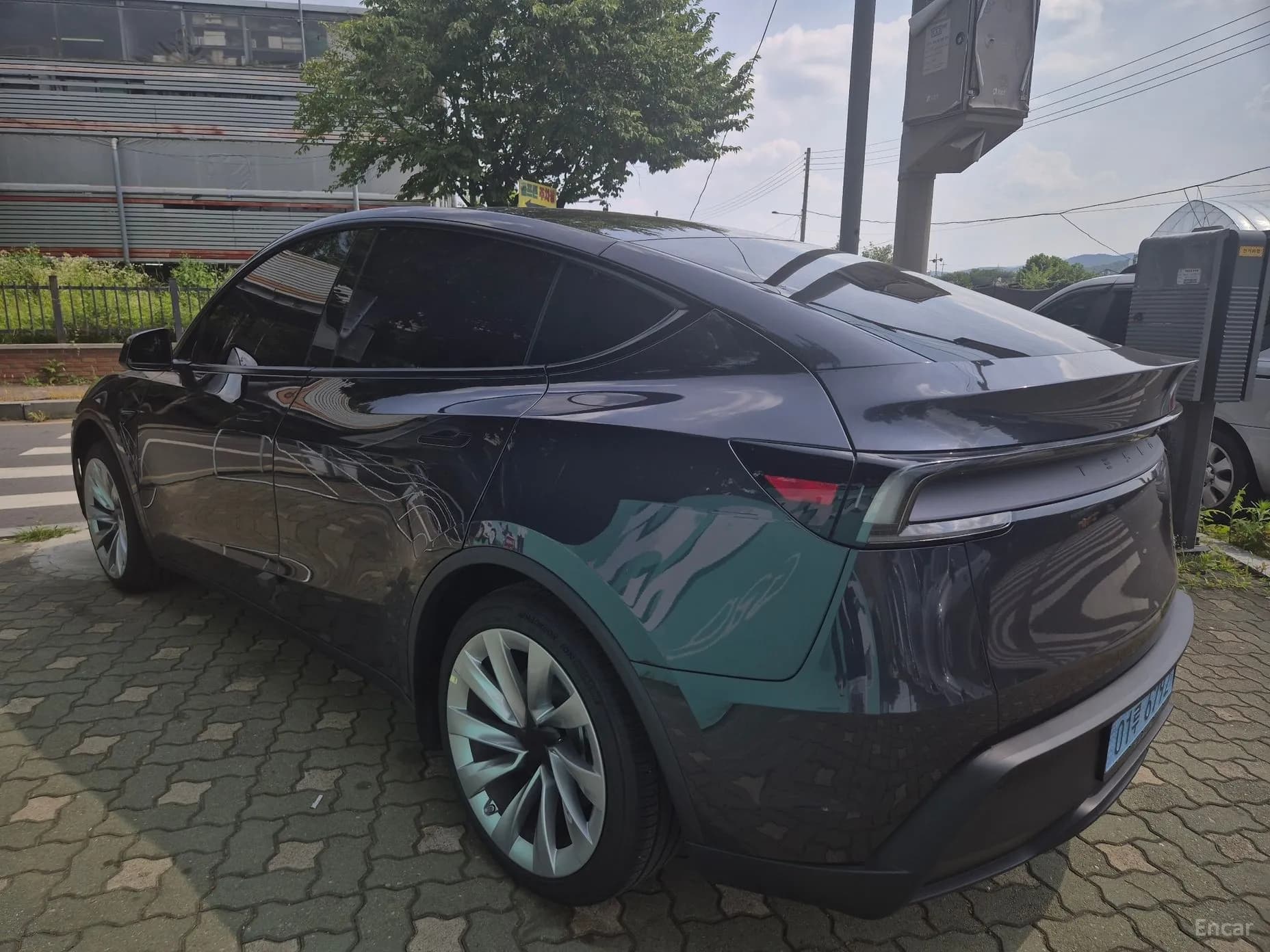Model Y