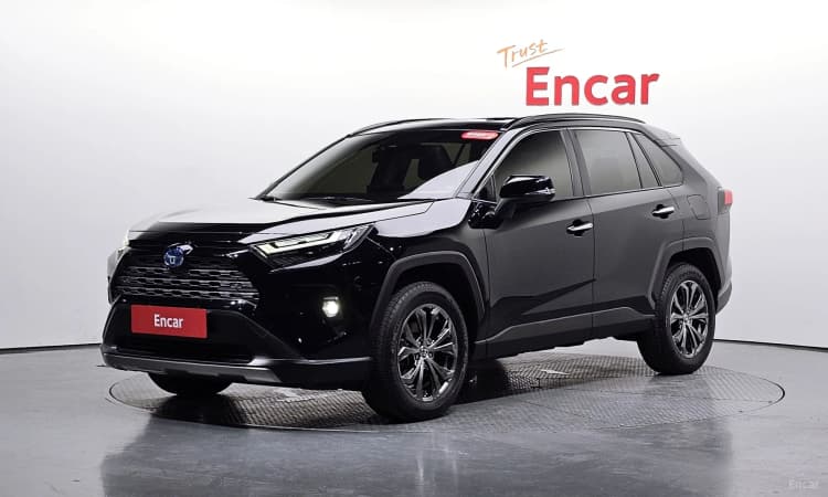 RAV4 5th Generation