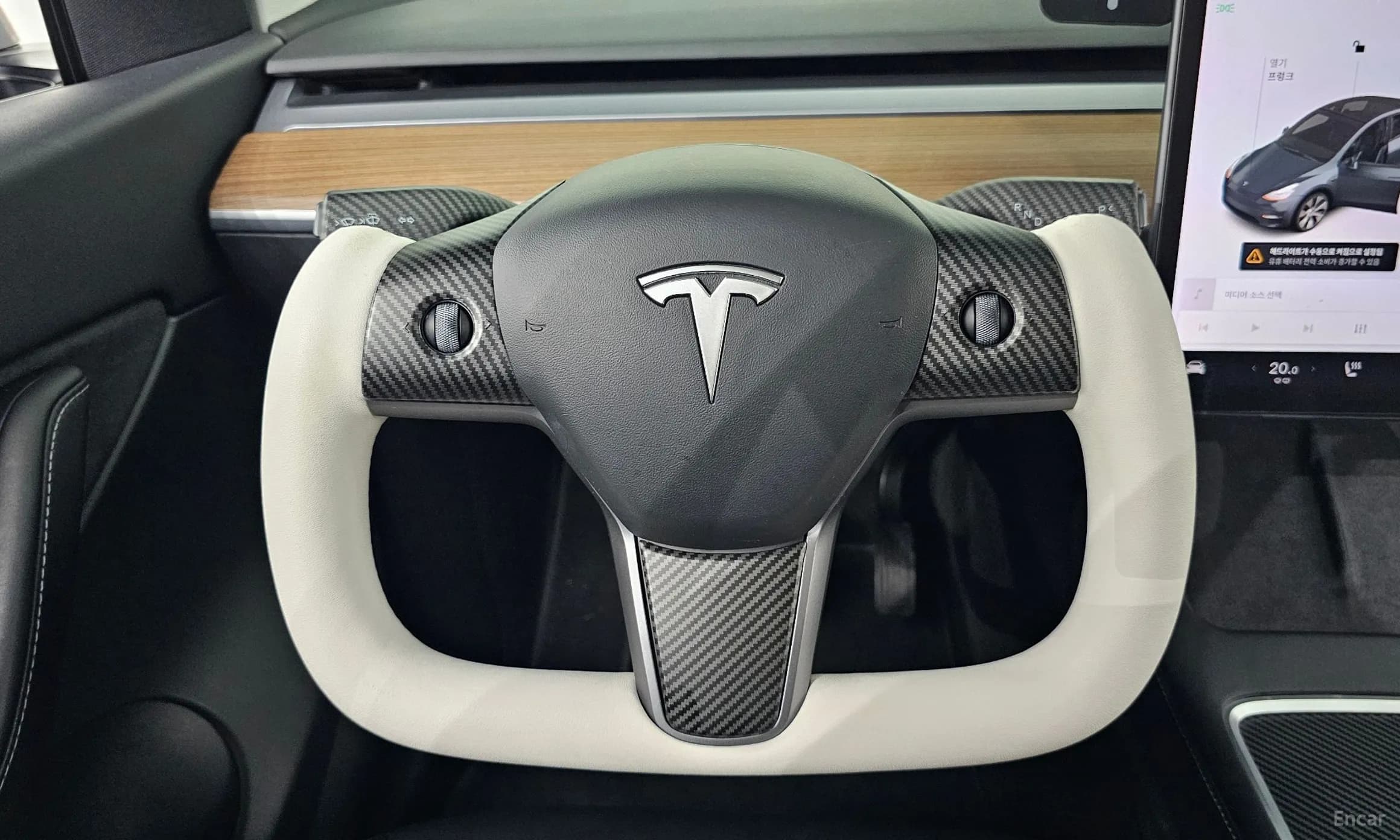 Model Y