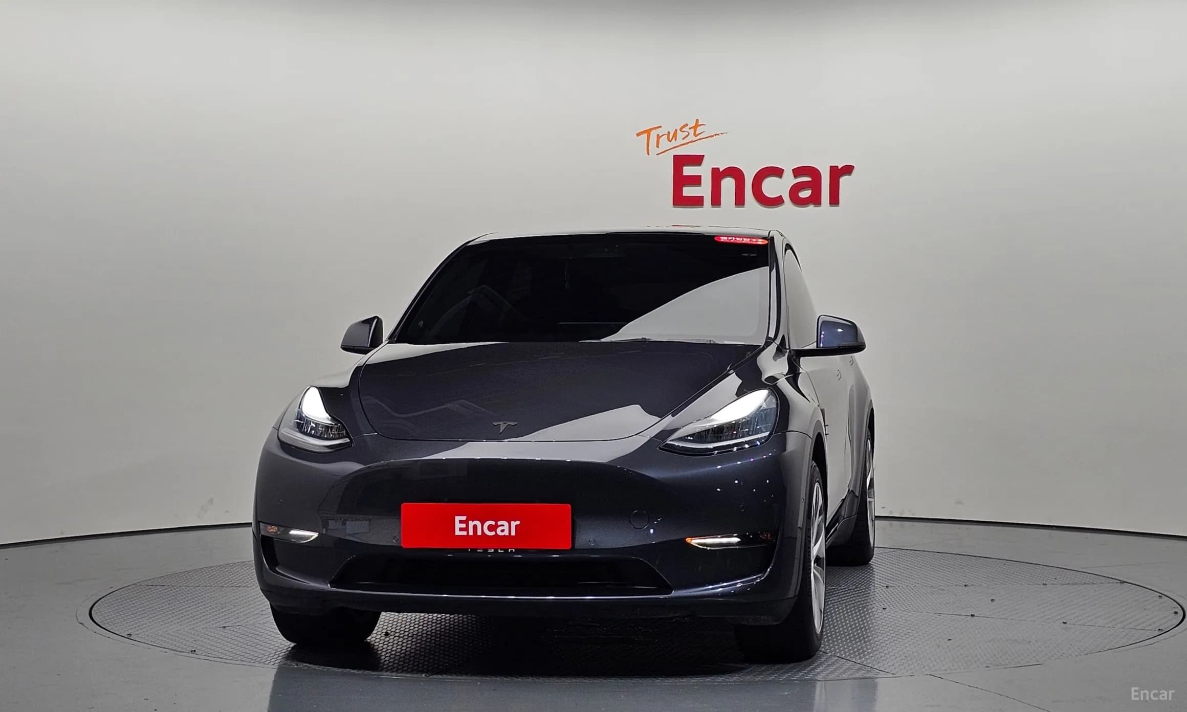 Model Y