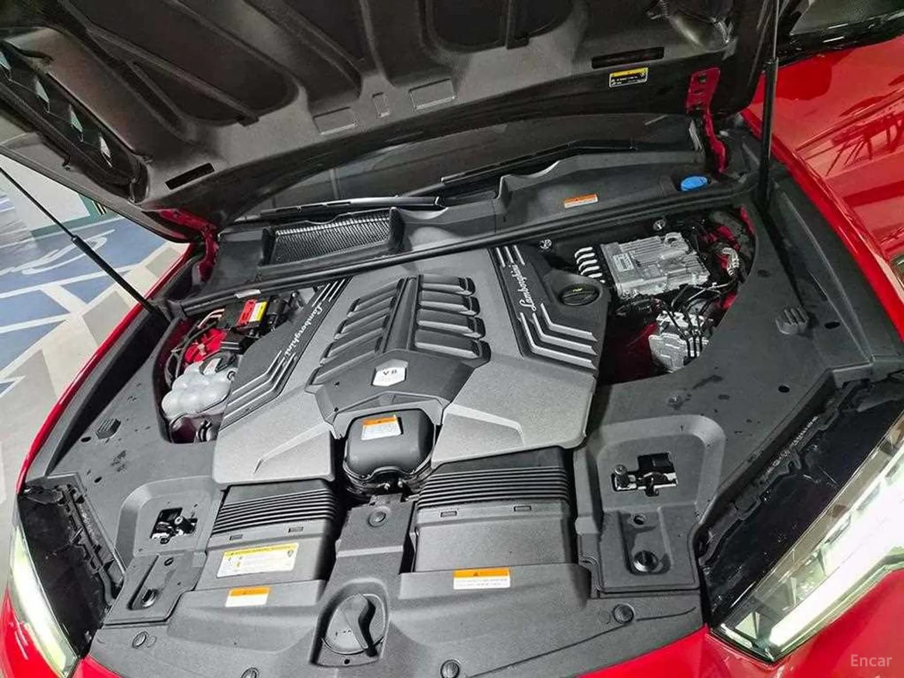 Urus