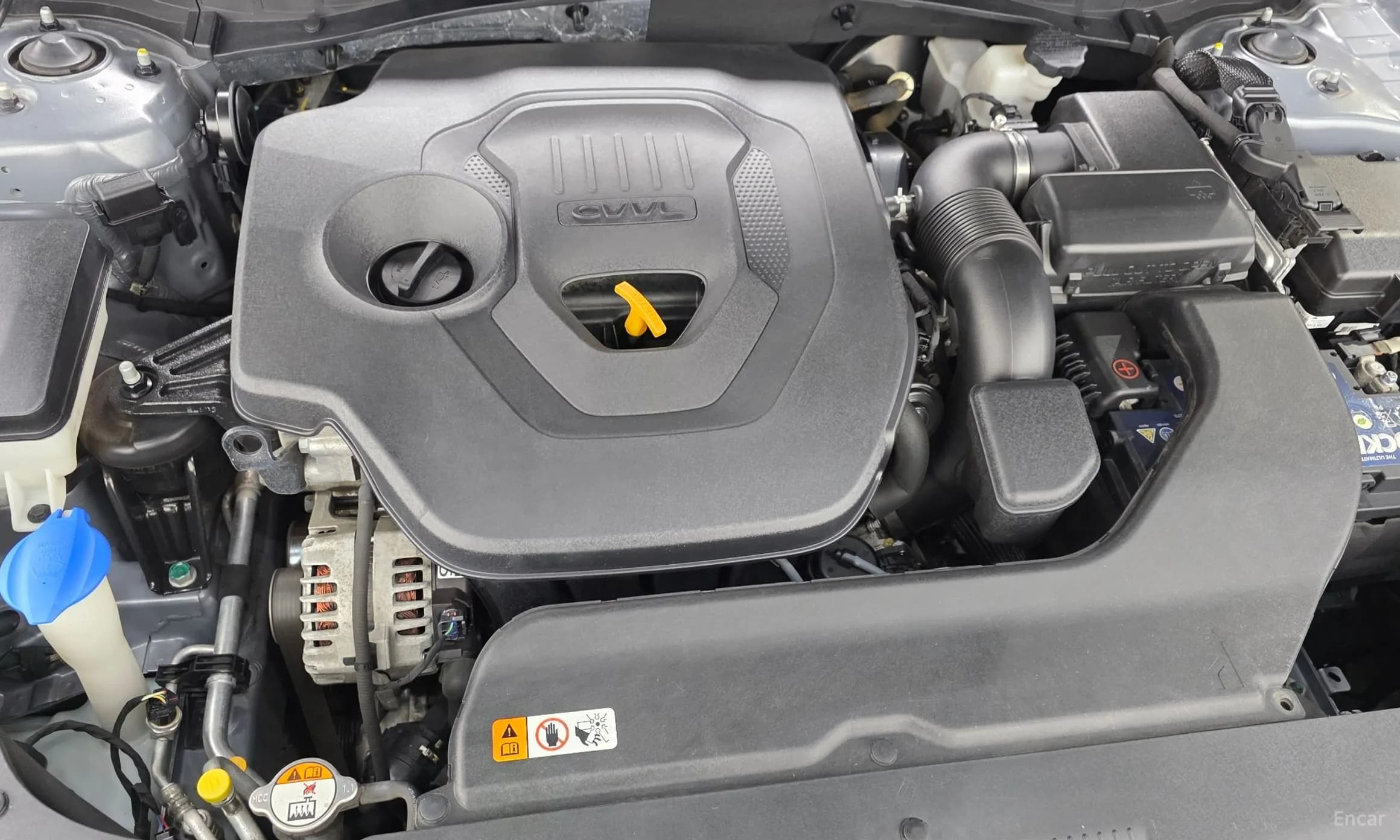 LF Sonata
