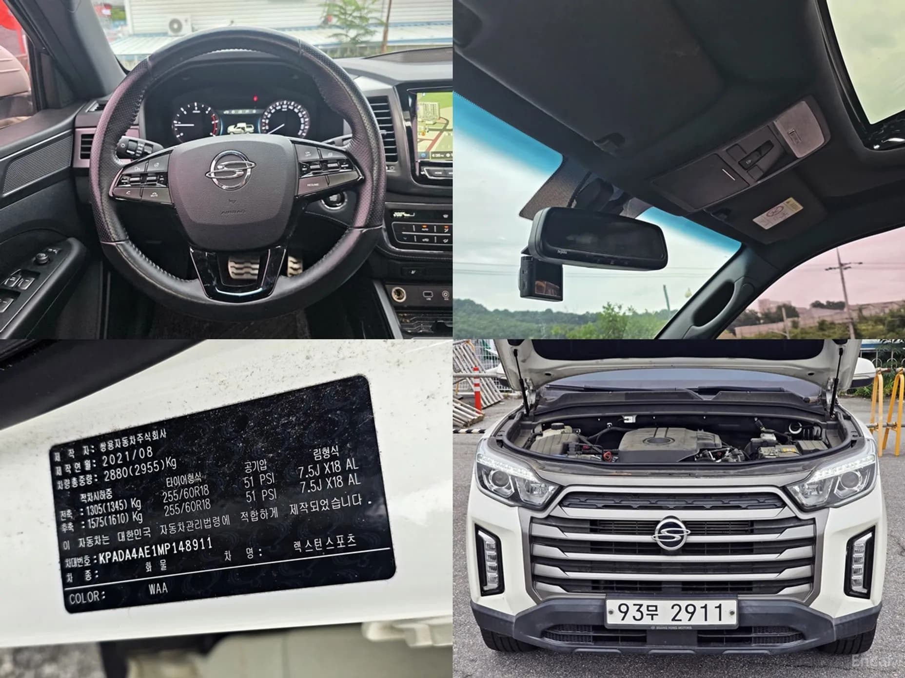 Rexton Sports