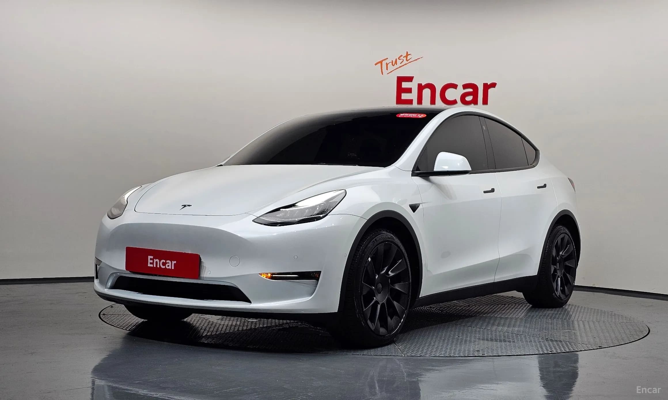 Model Y
