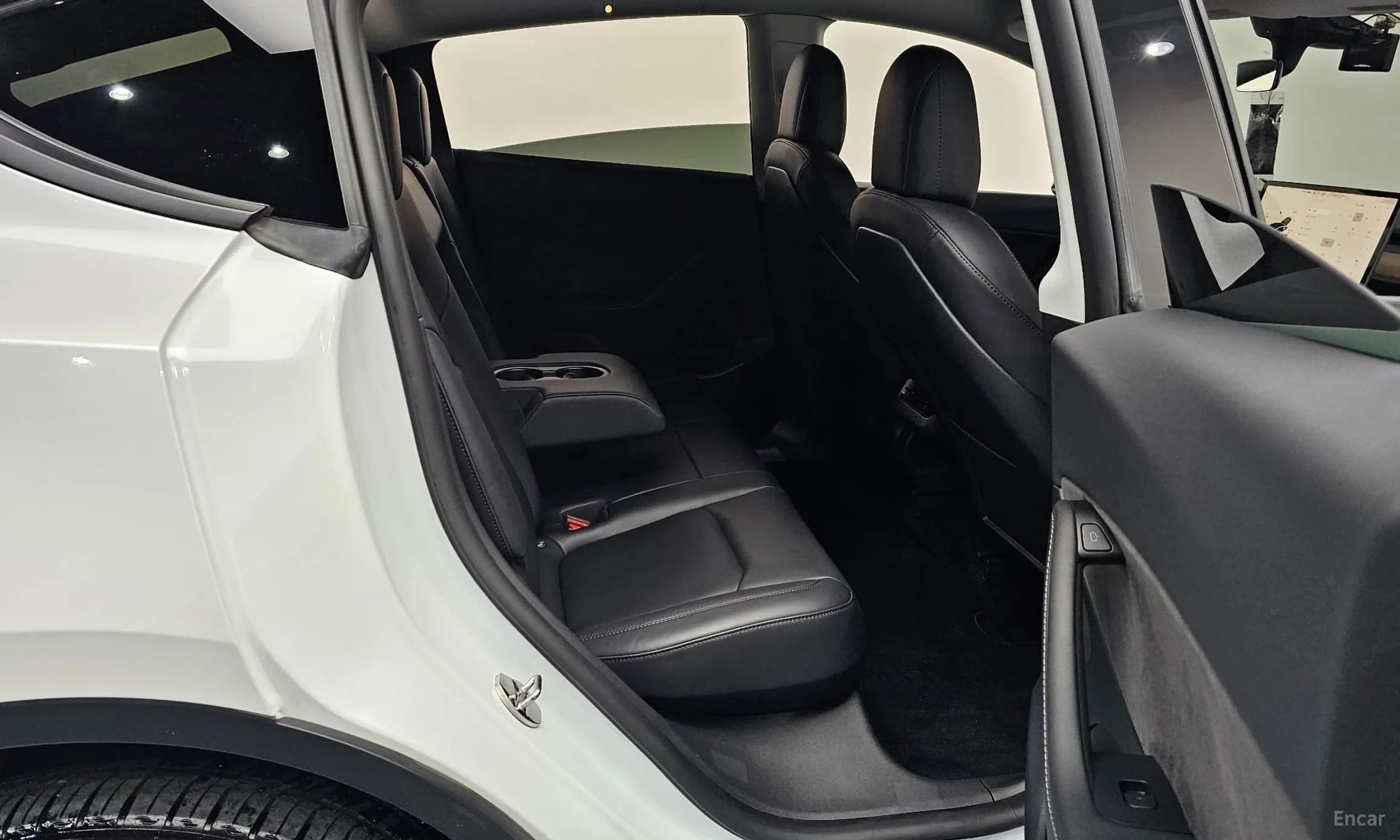 Model Y