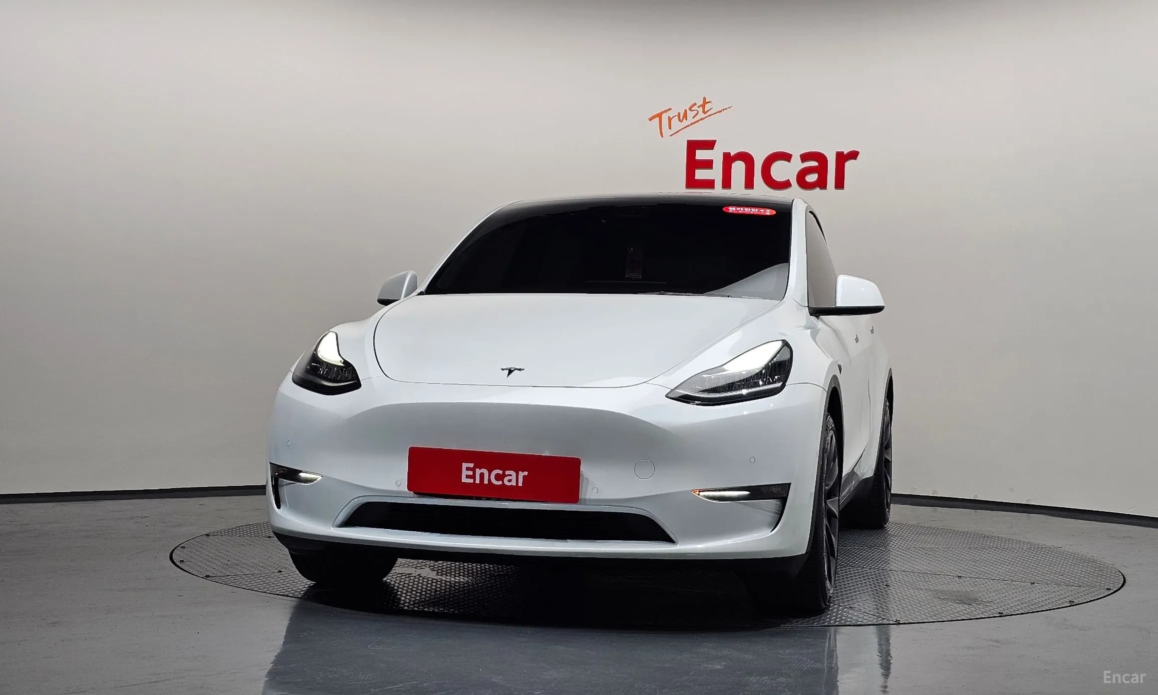 Model Y