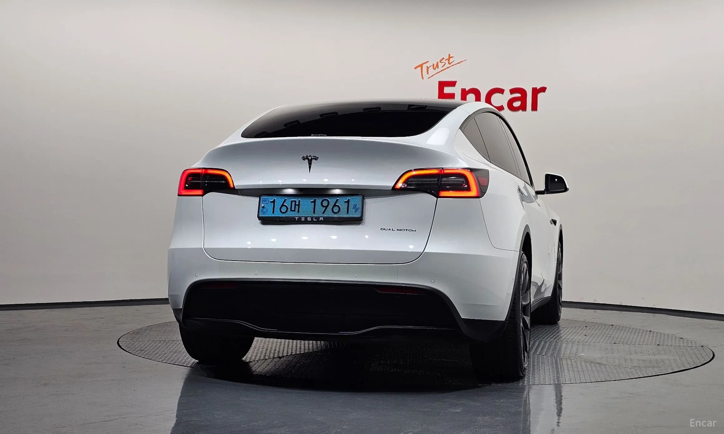 Model Y