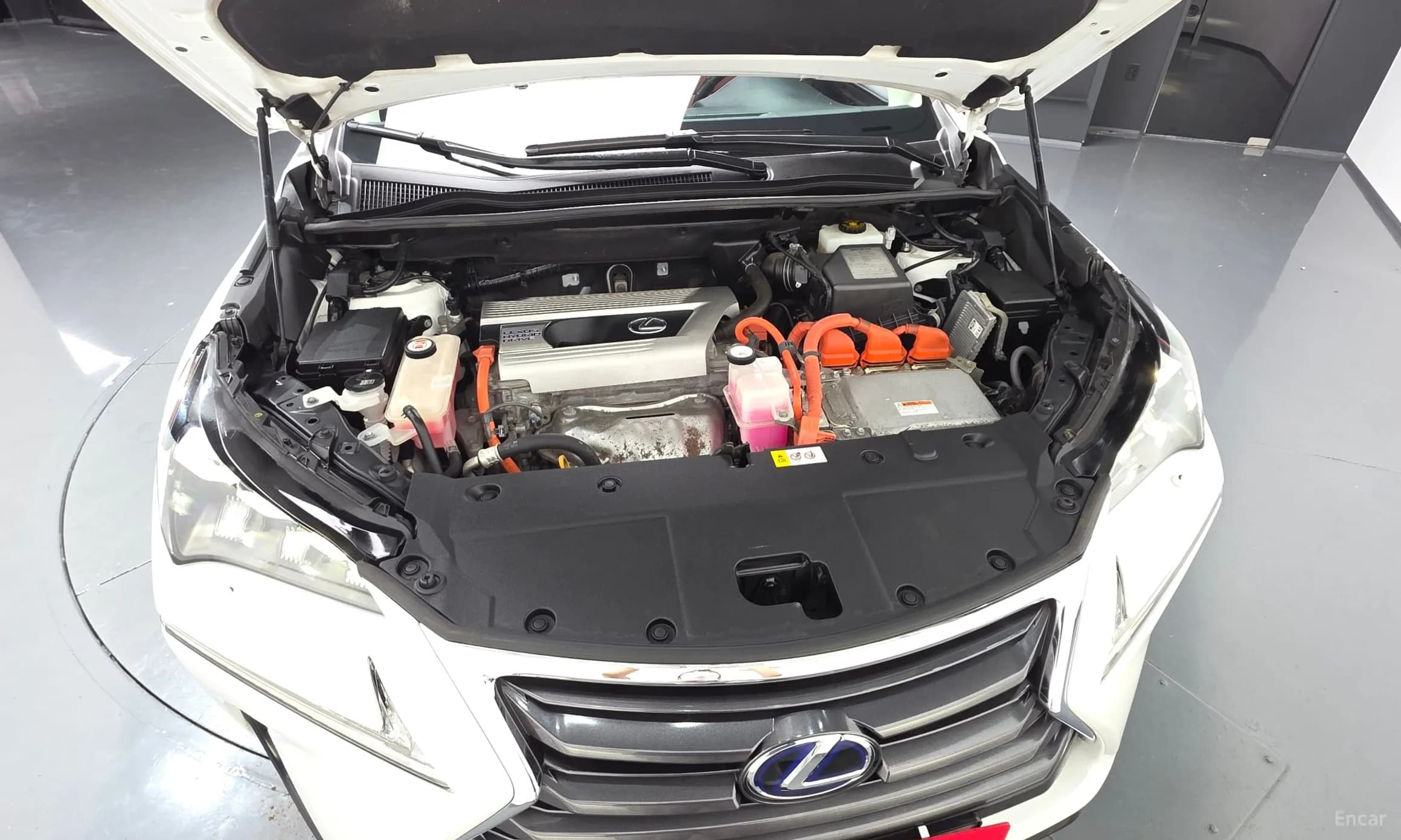 NX300h