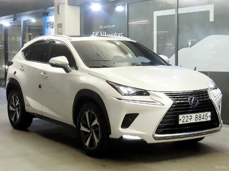 NX300h