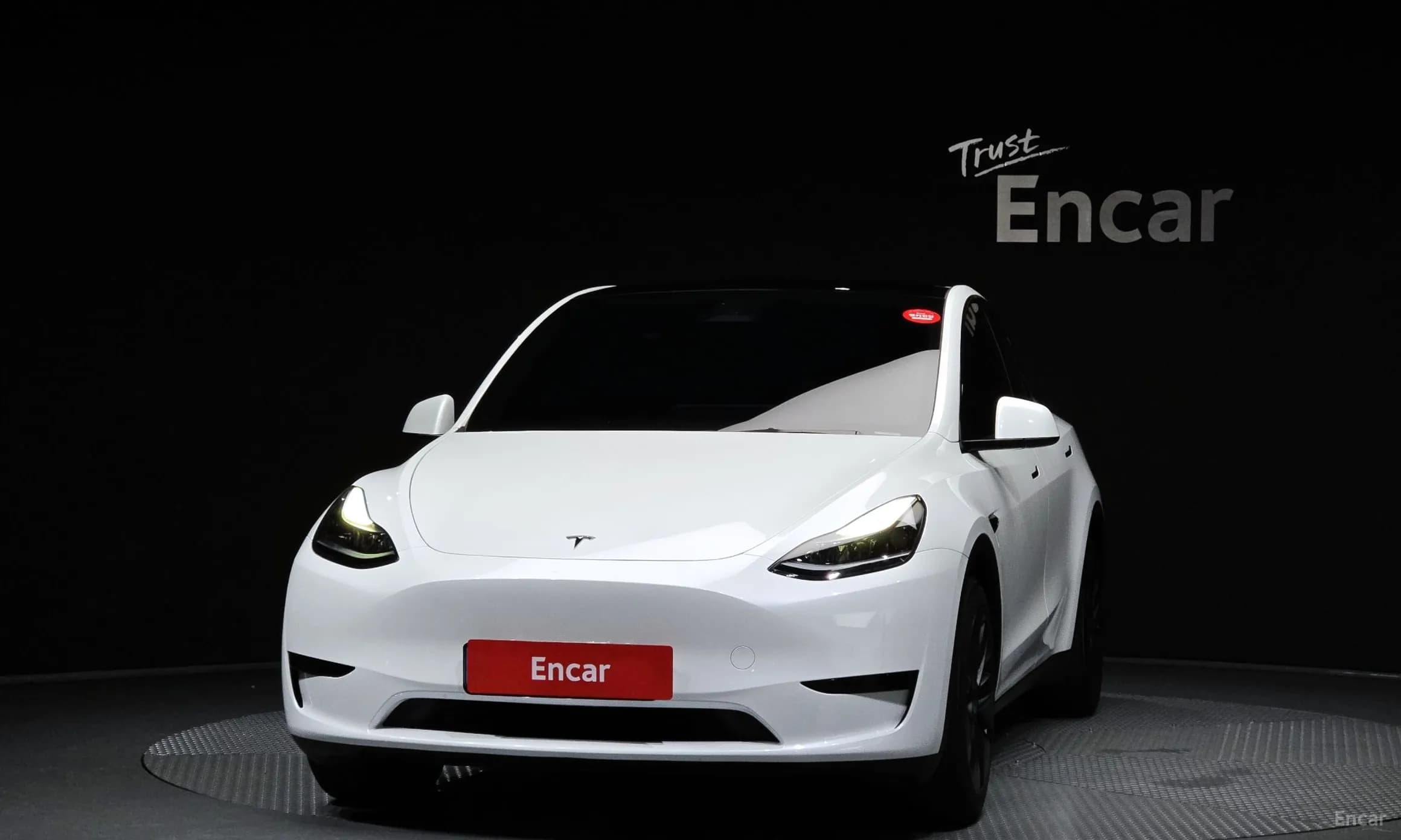 Model Y