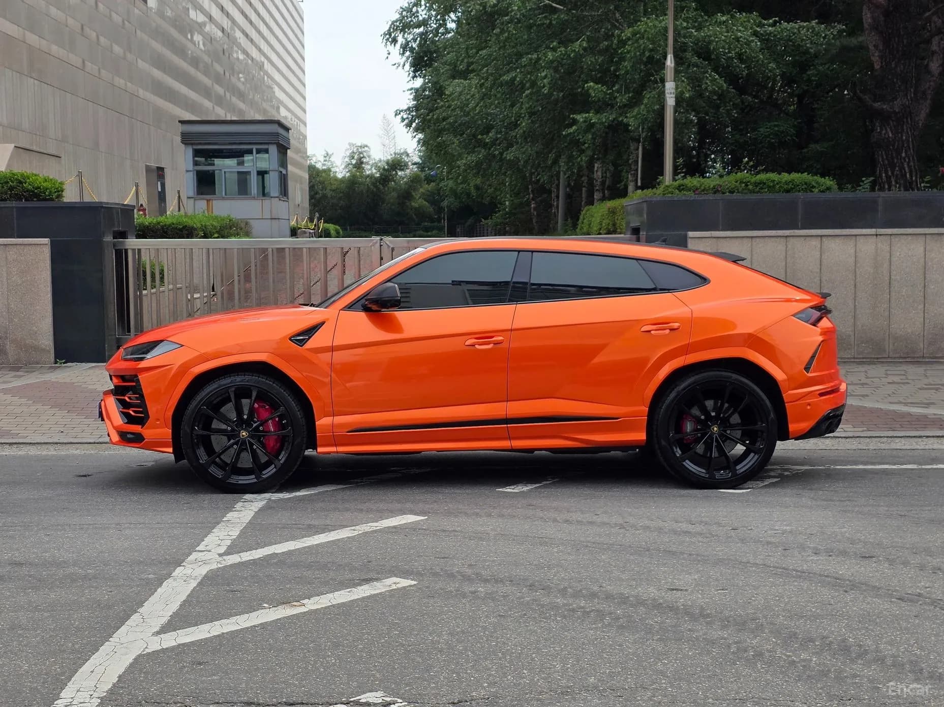 Urus