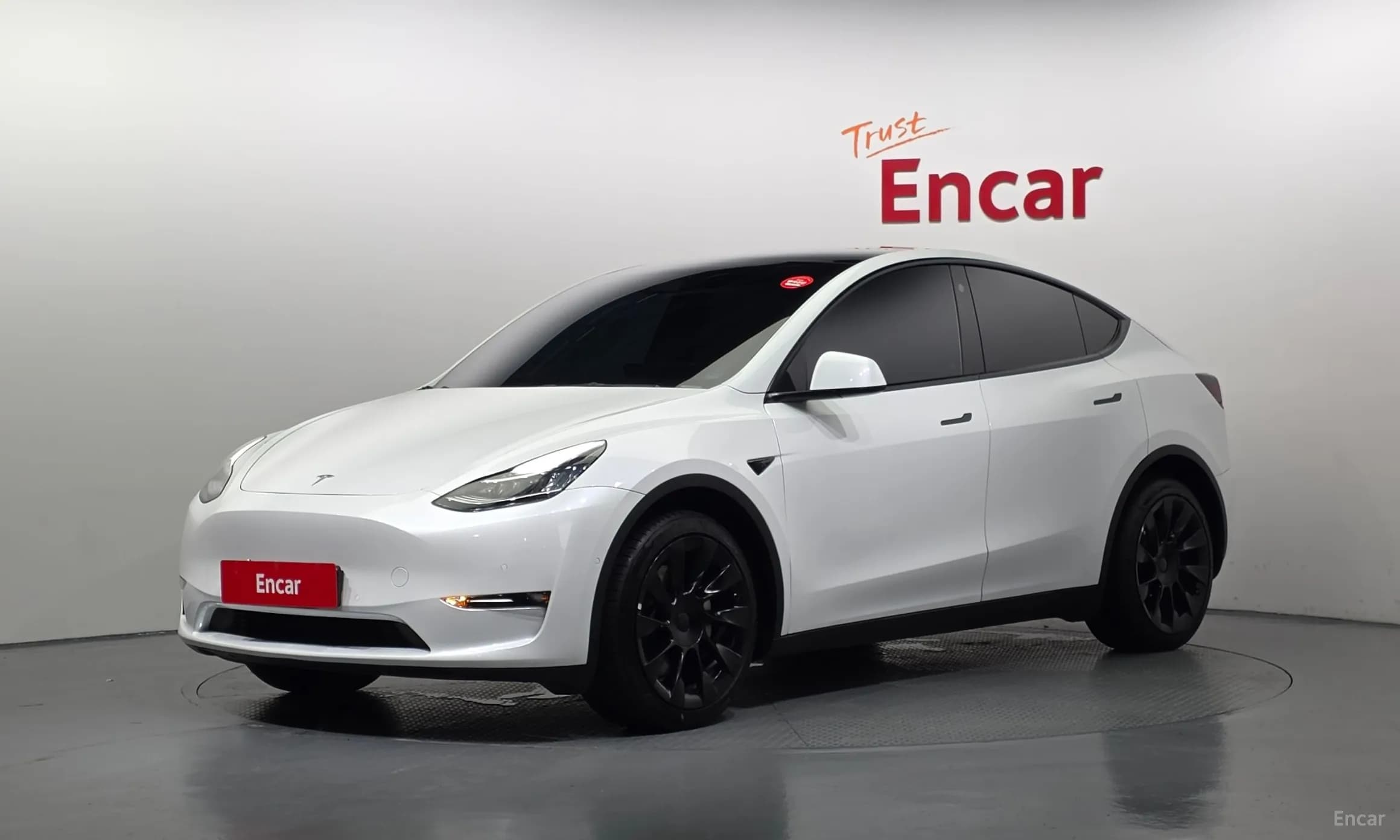 Model Y
