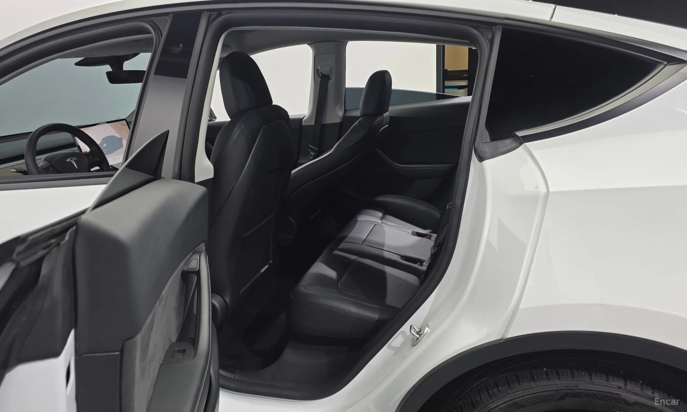Model Y