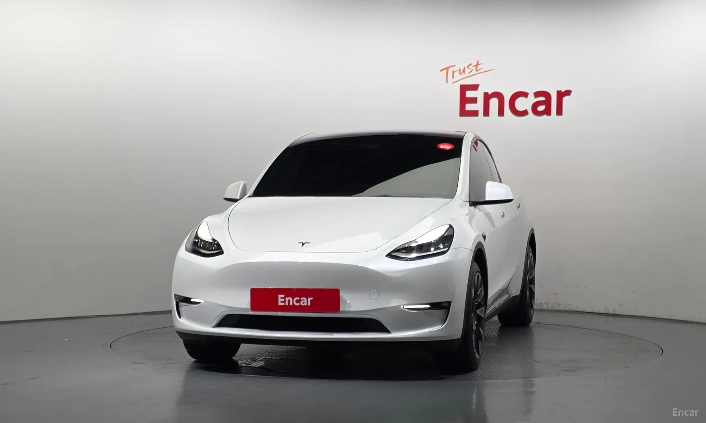 Model Y