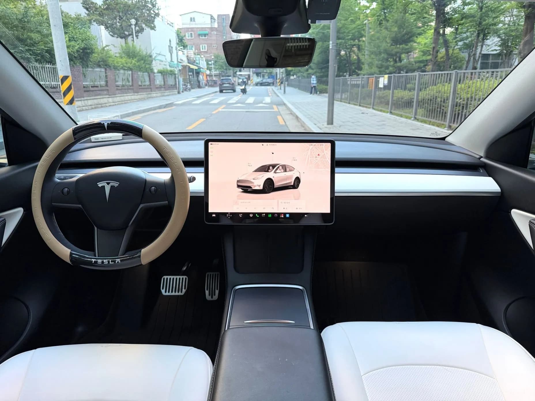 Model Y