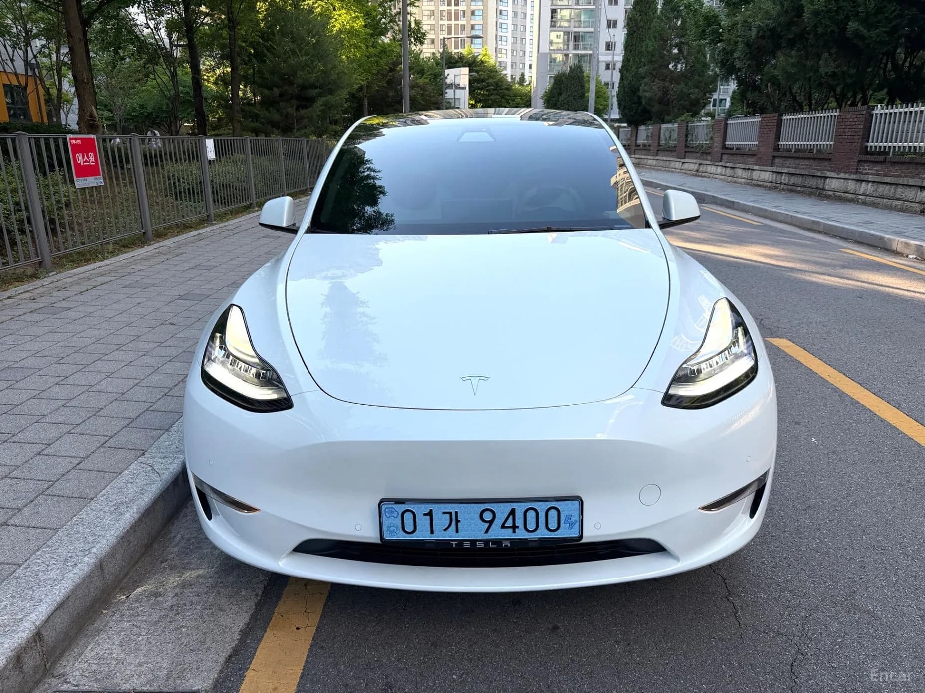 Model Y