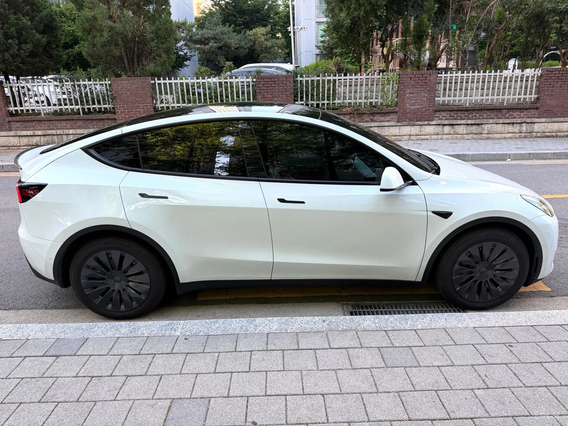 Model Y