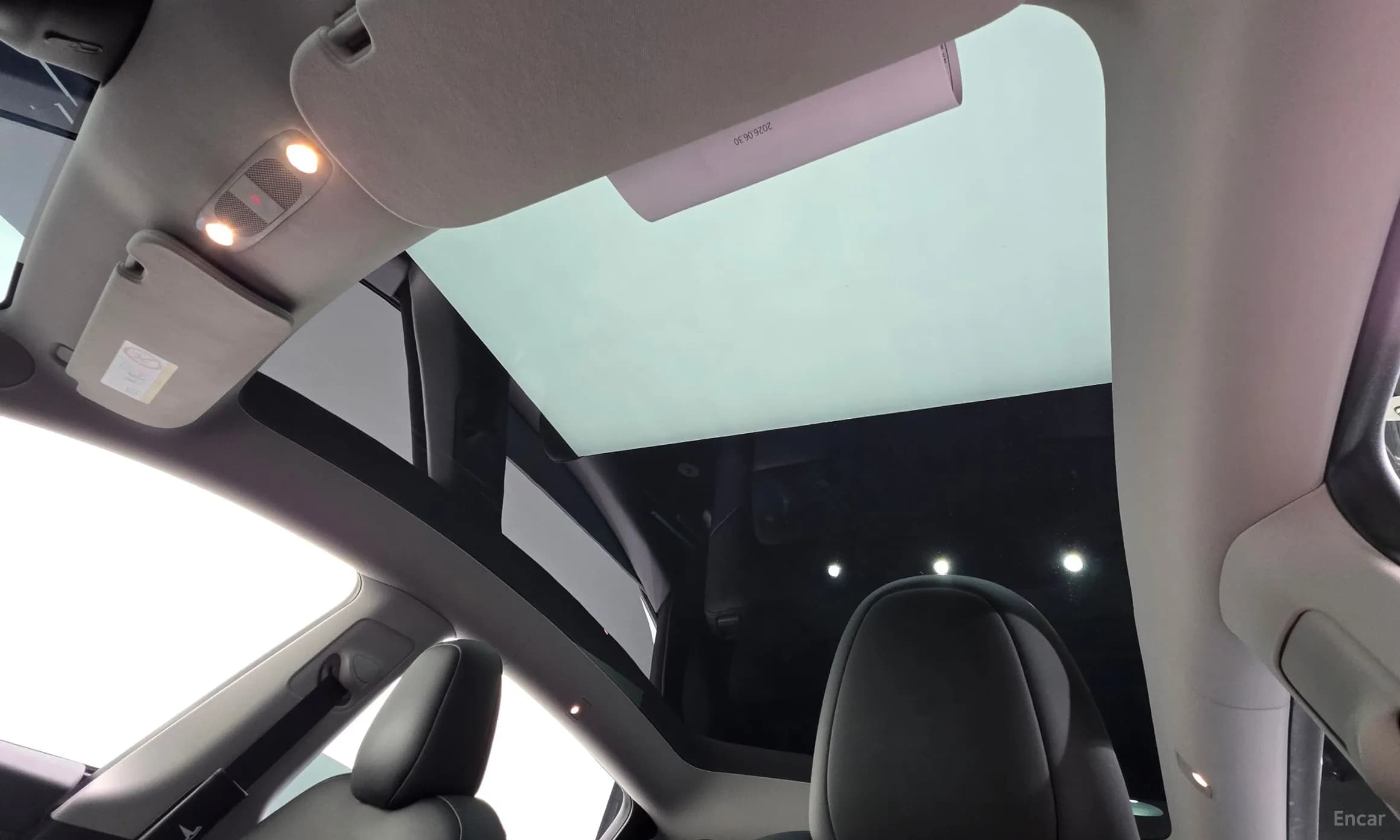 Model Y