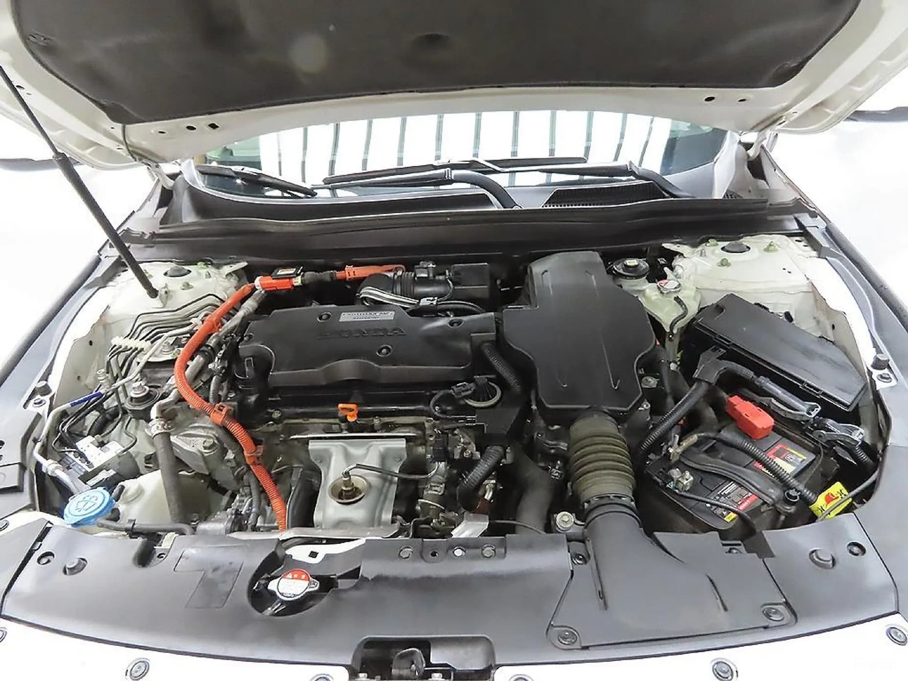 Accord 10th Generation