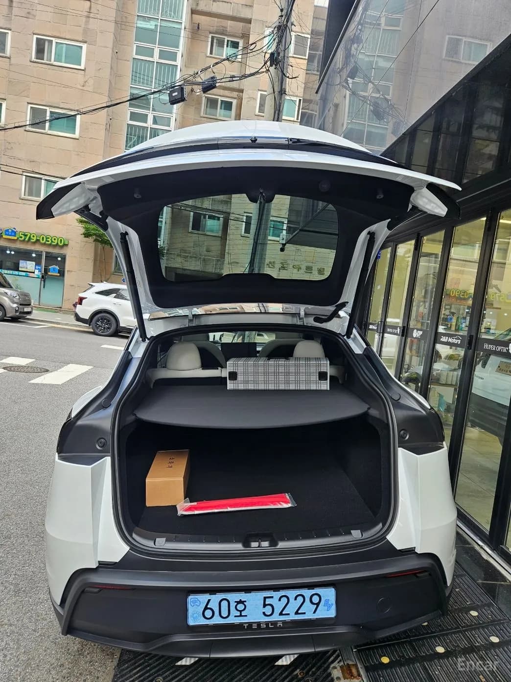 Model Y