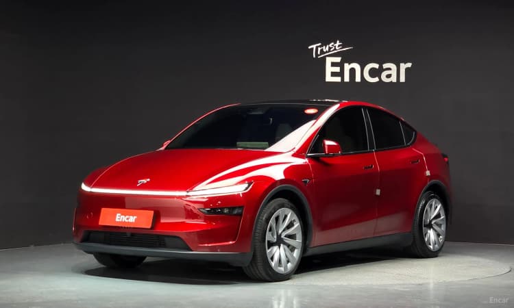 Model Y