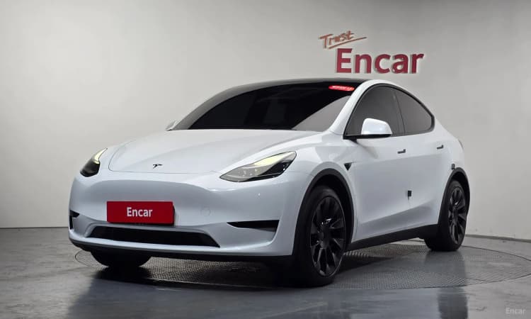 Model Y