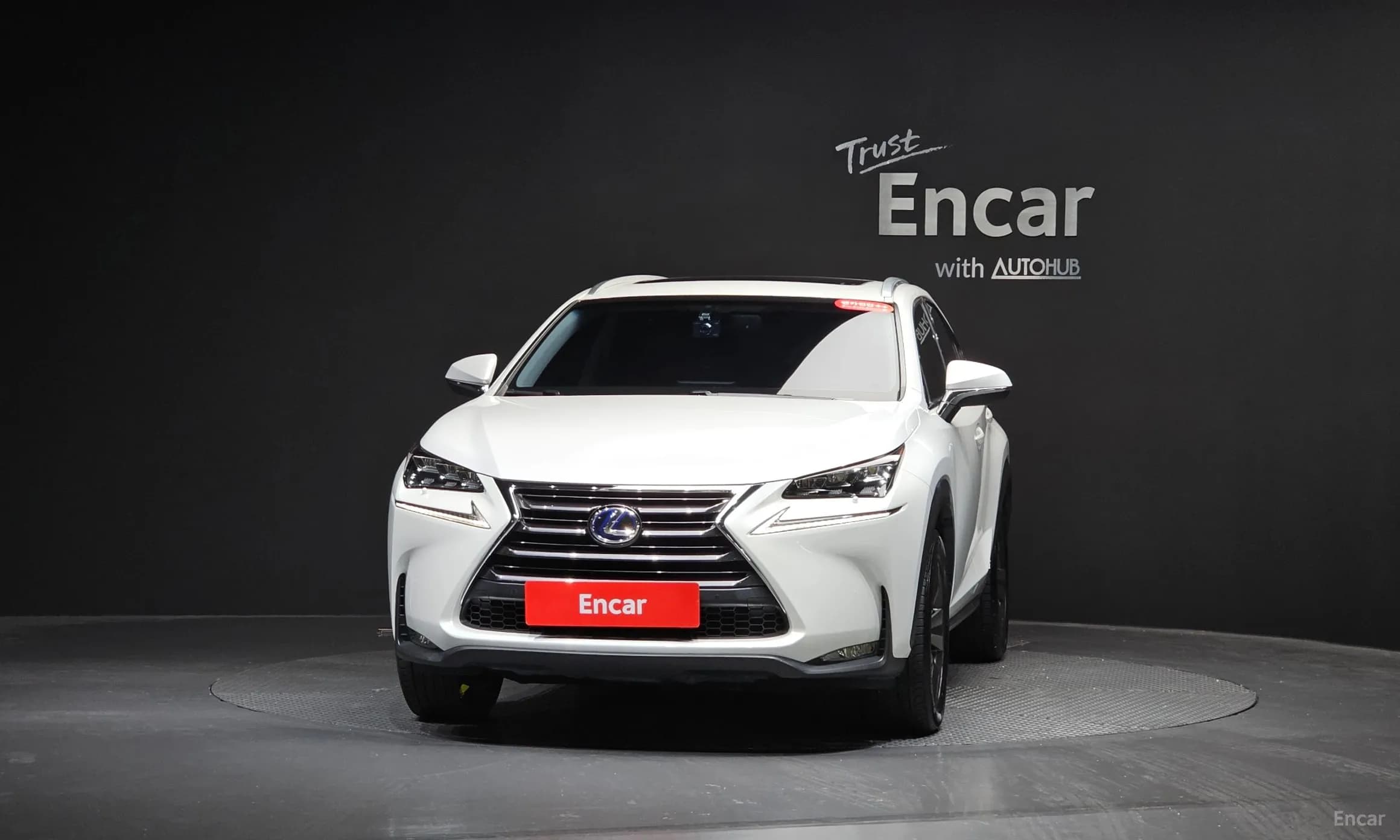 NX300h