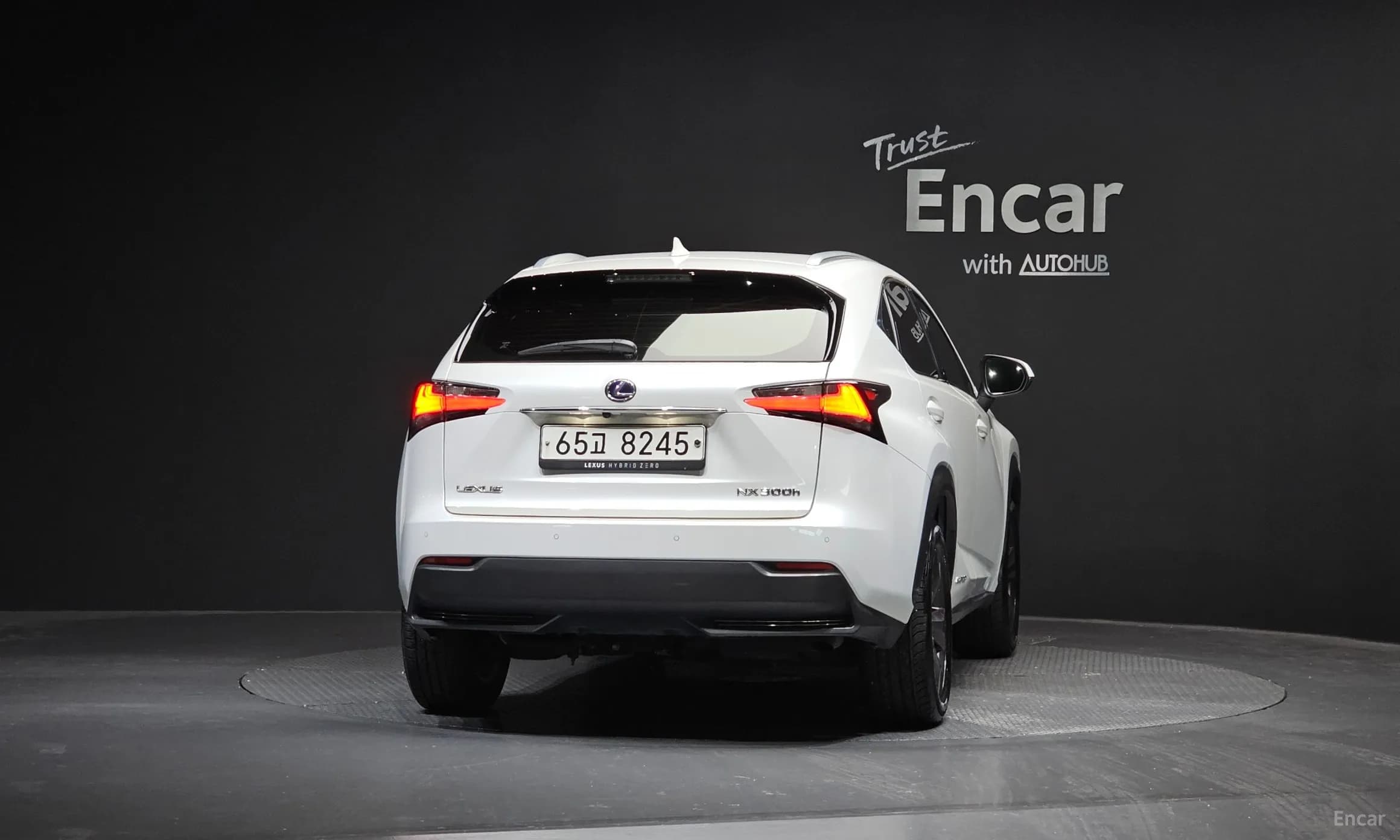 NX300h