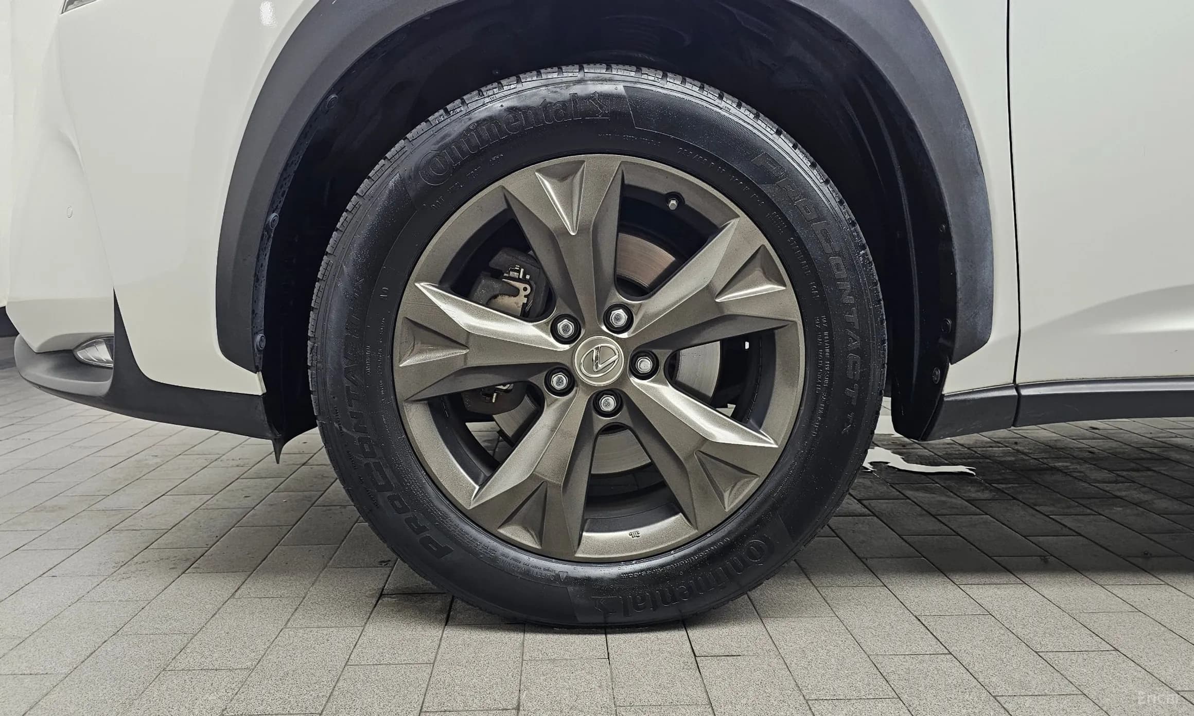 NX300h