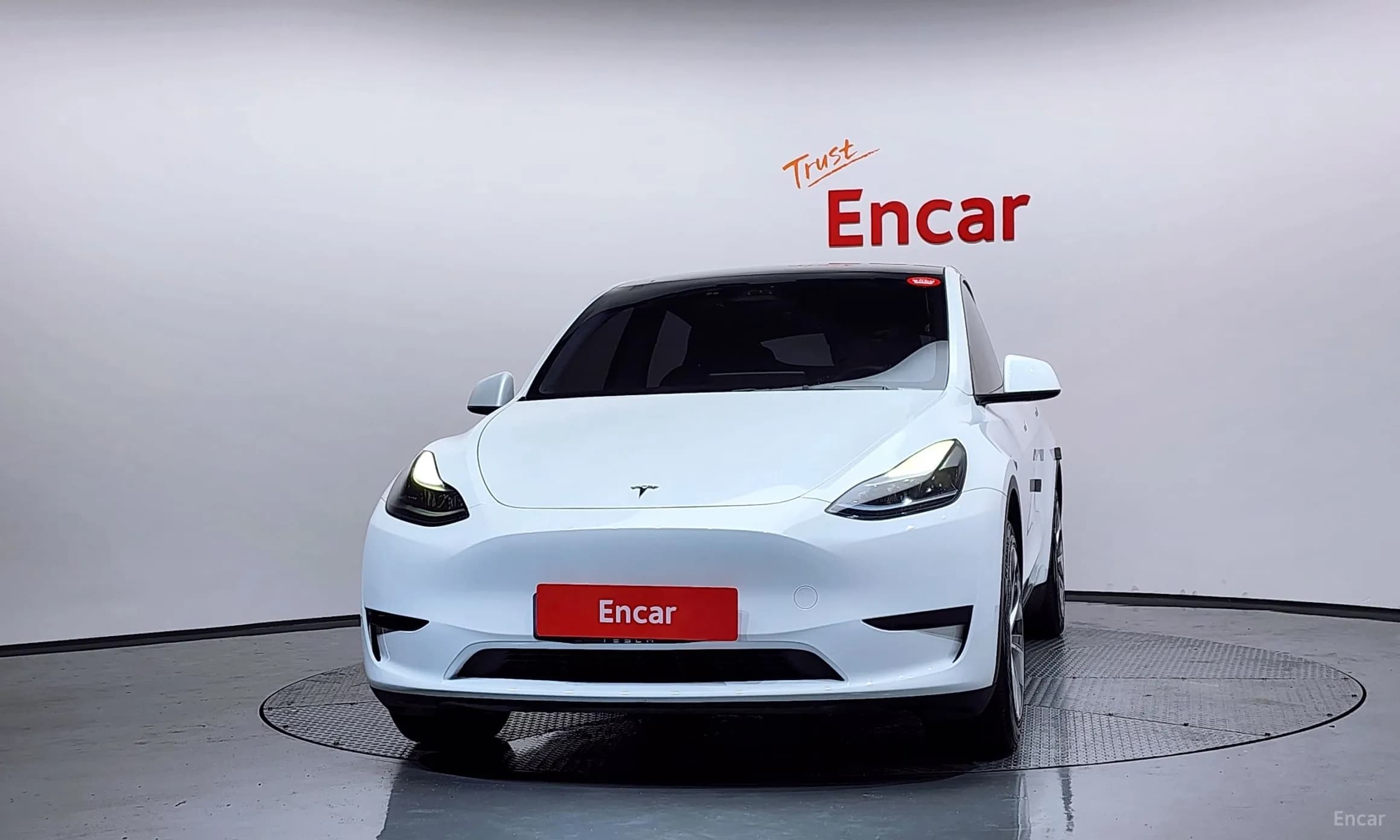 Model Y