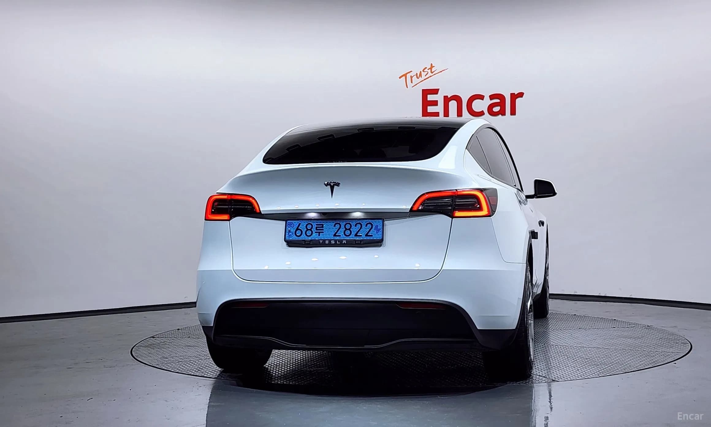 Model Y