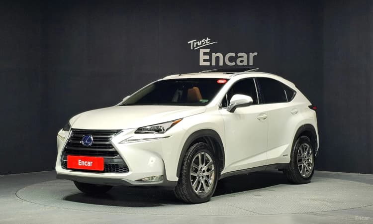 NX300h