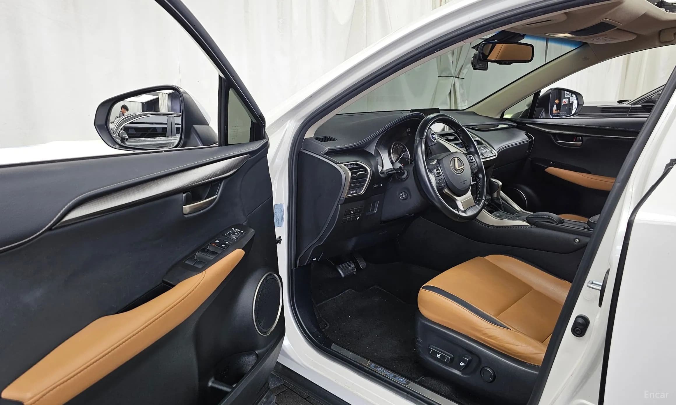 NX300h
