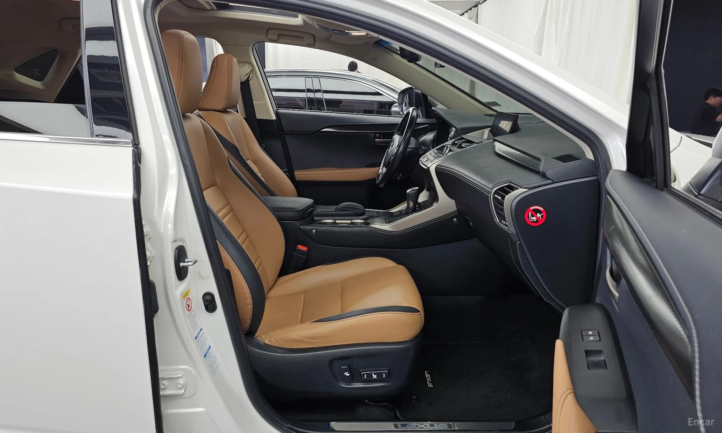 NX300h