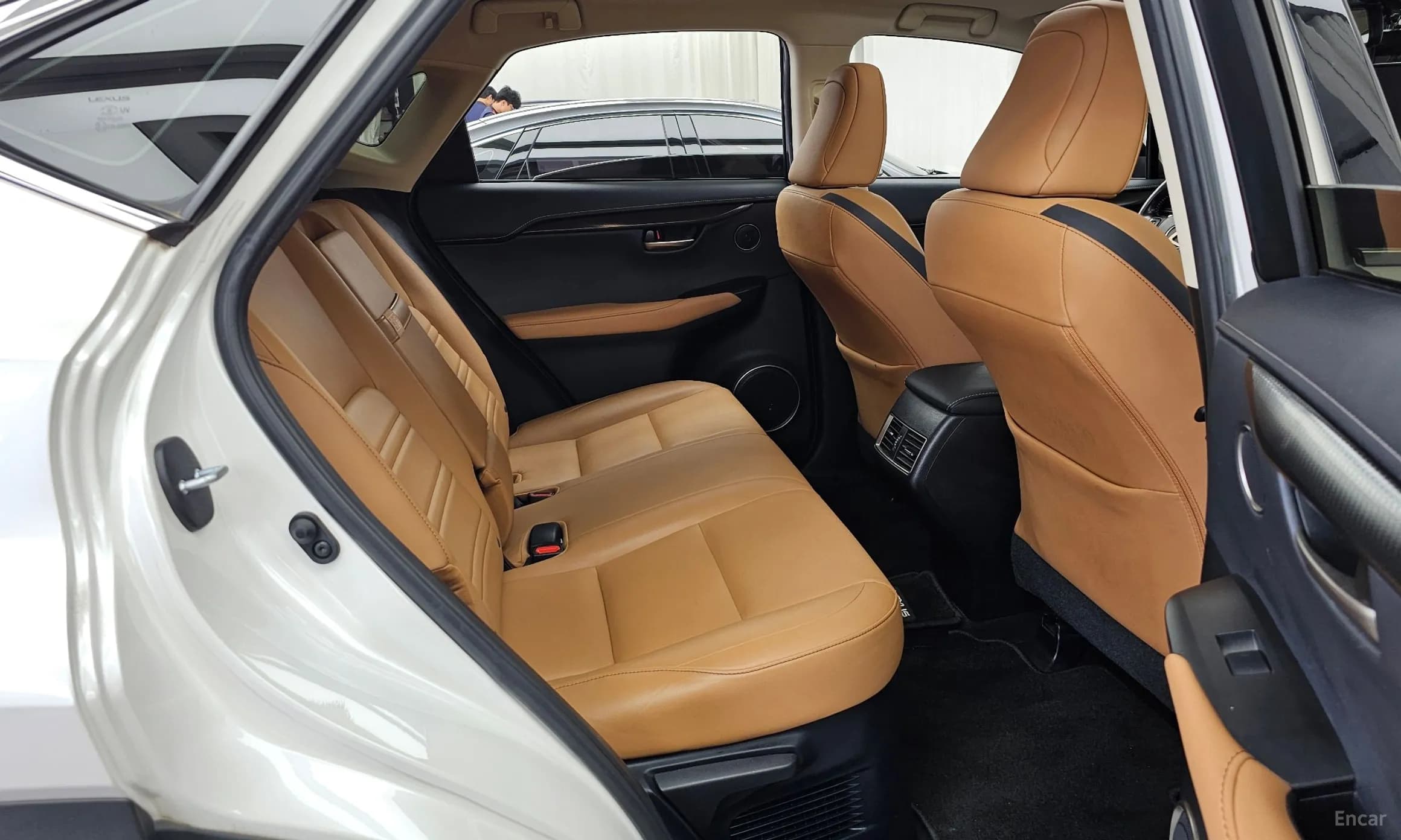 NX300h