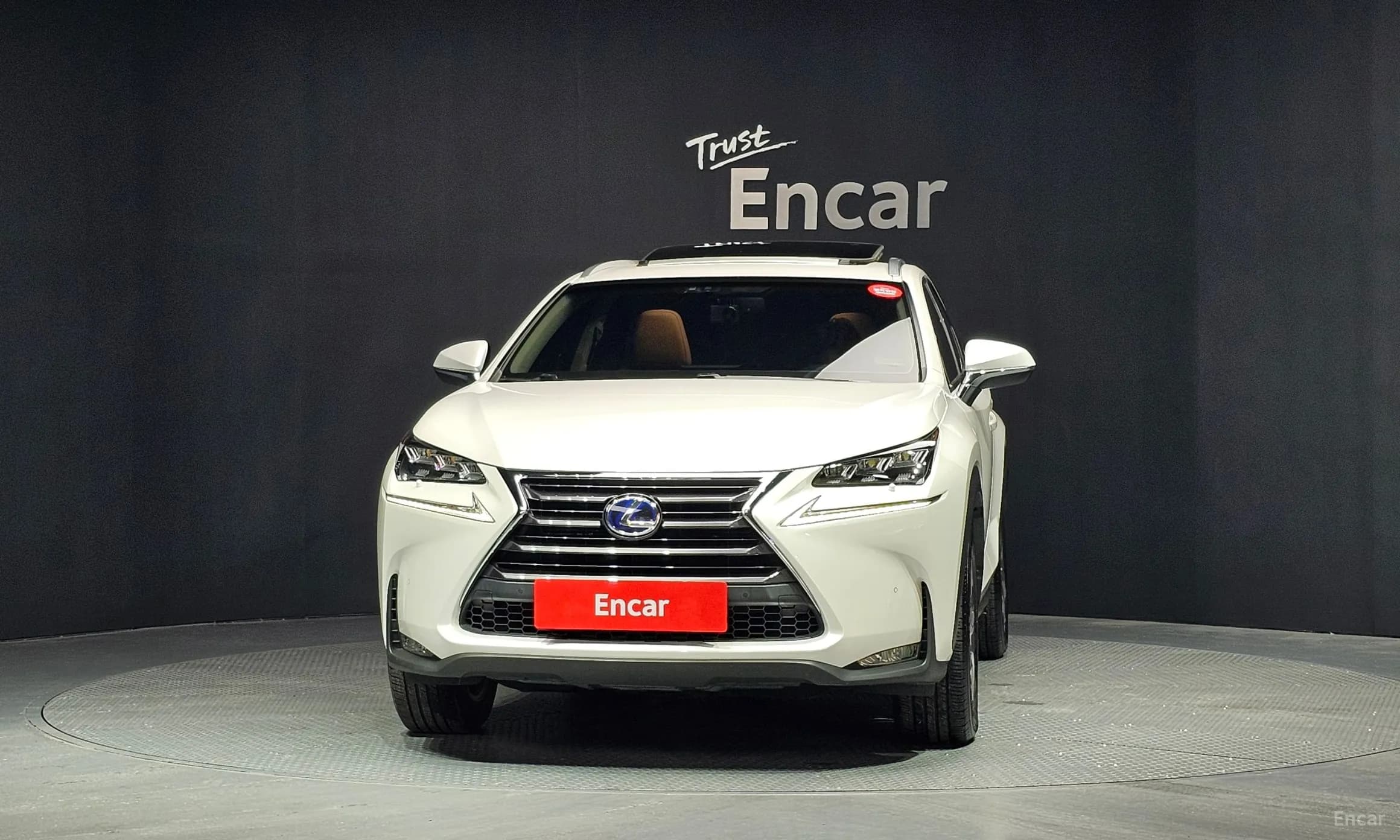 NX300h