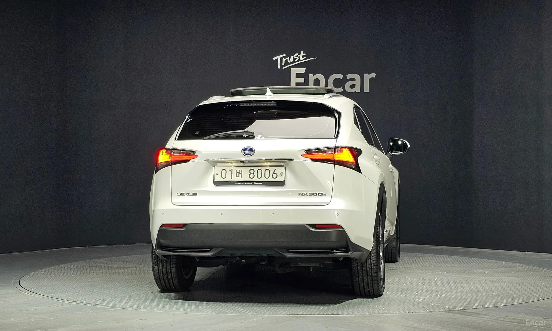 NX300h