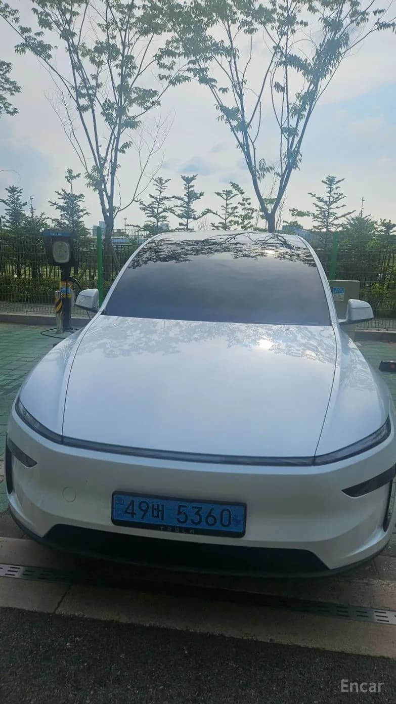 Model Y