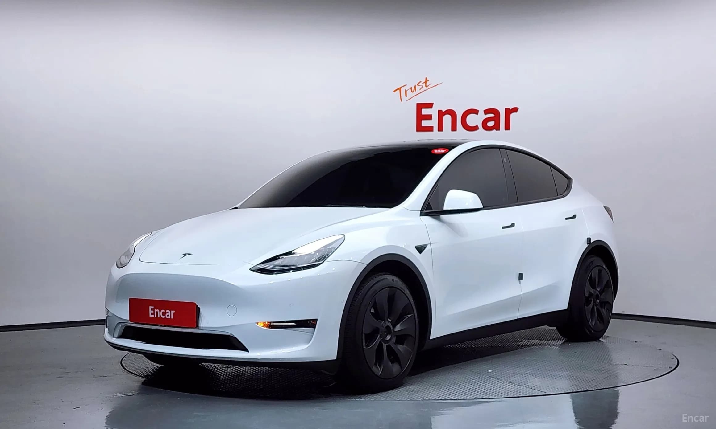 Model Y