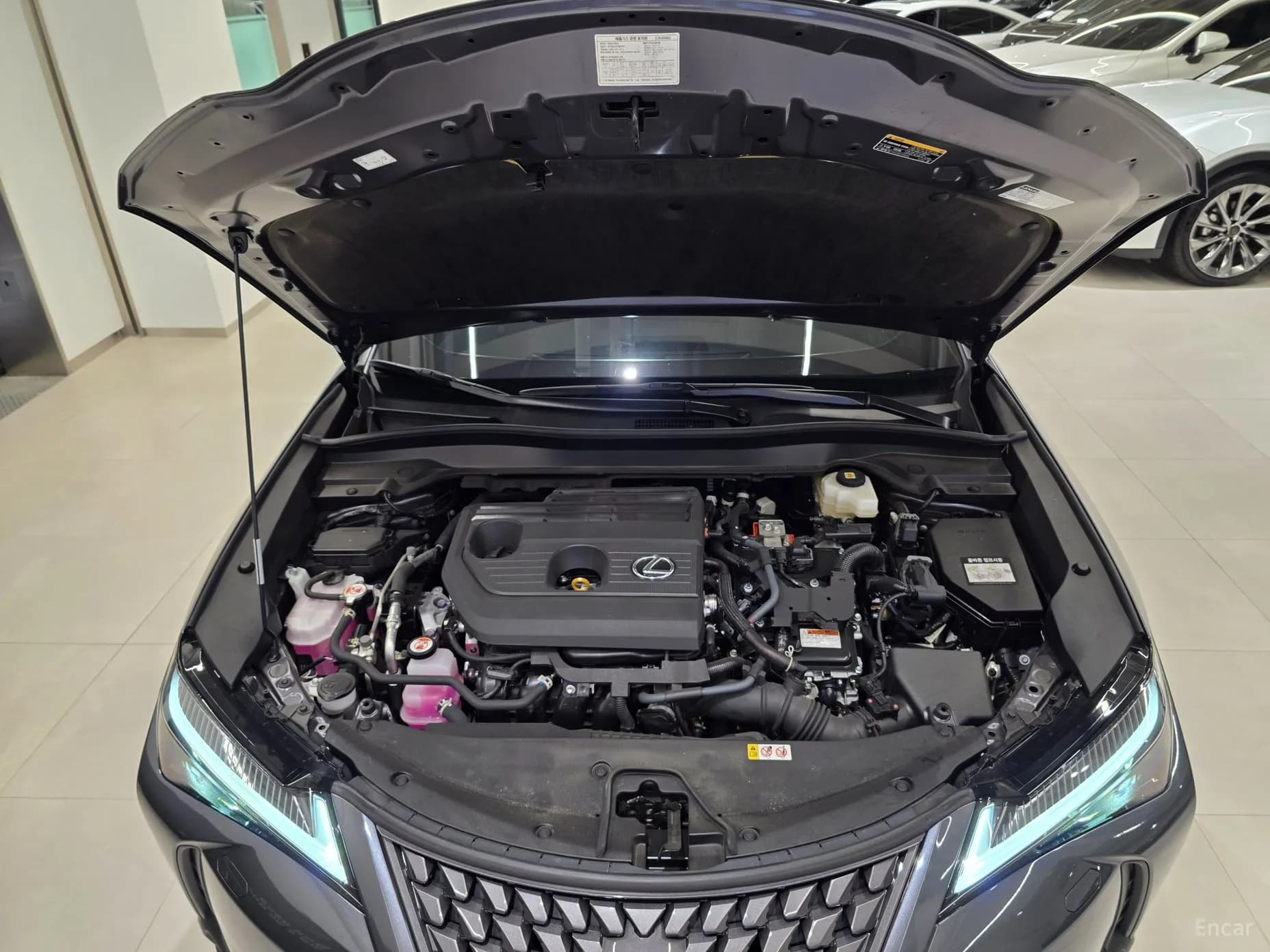 UX300h