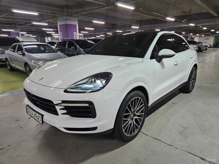 Cayenne (PO536)