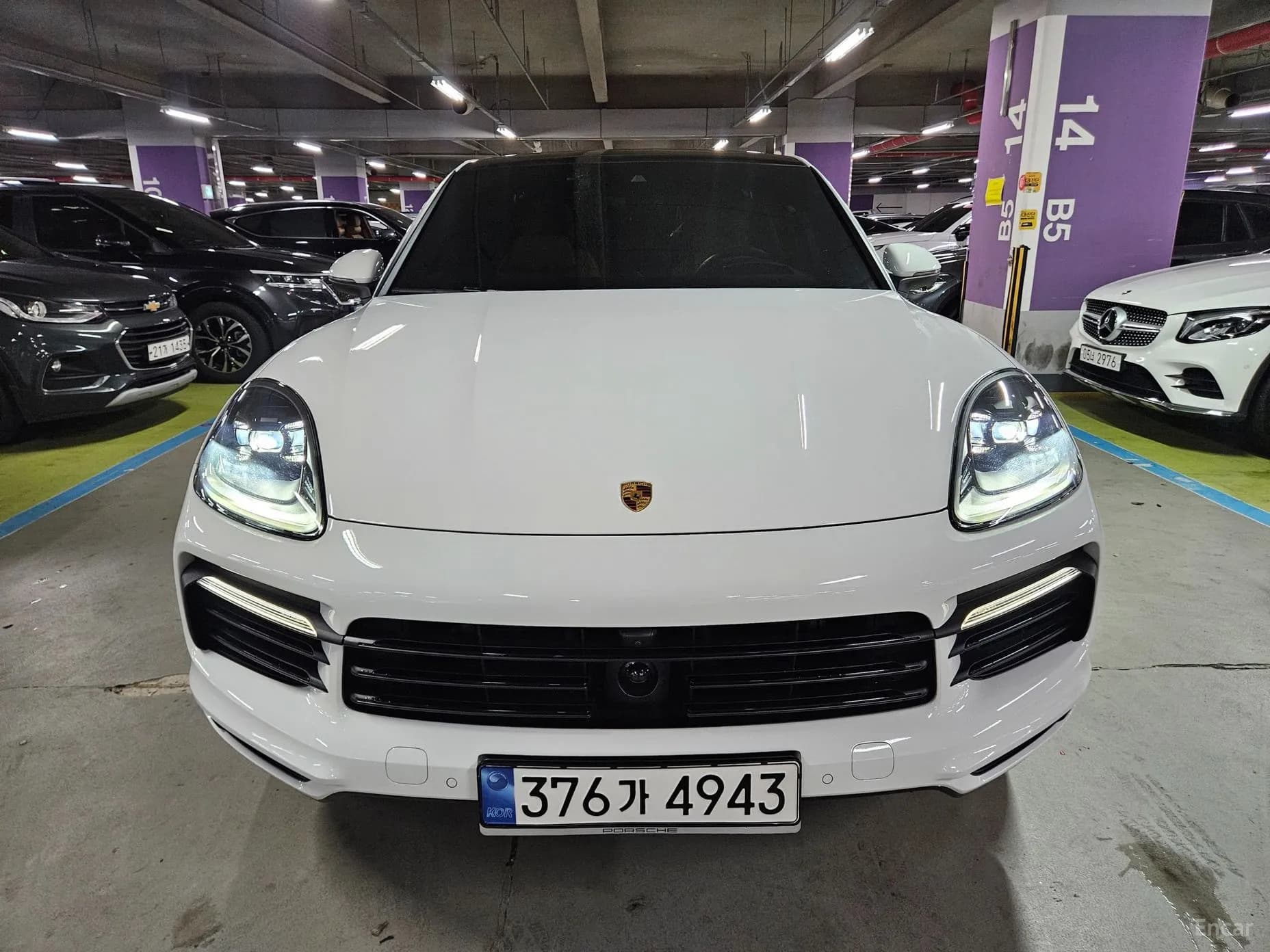 Cayenne (PO536)