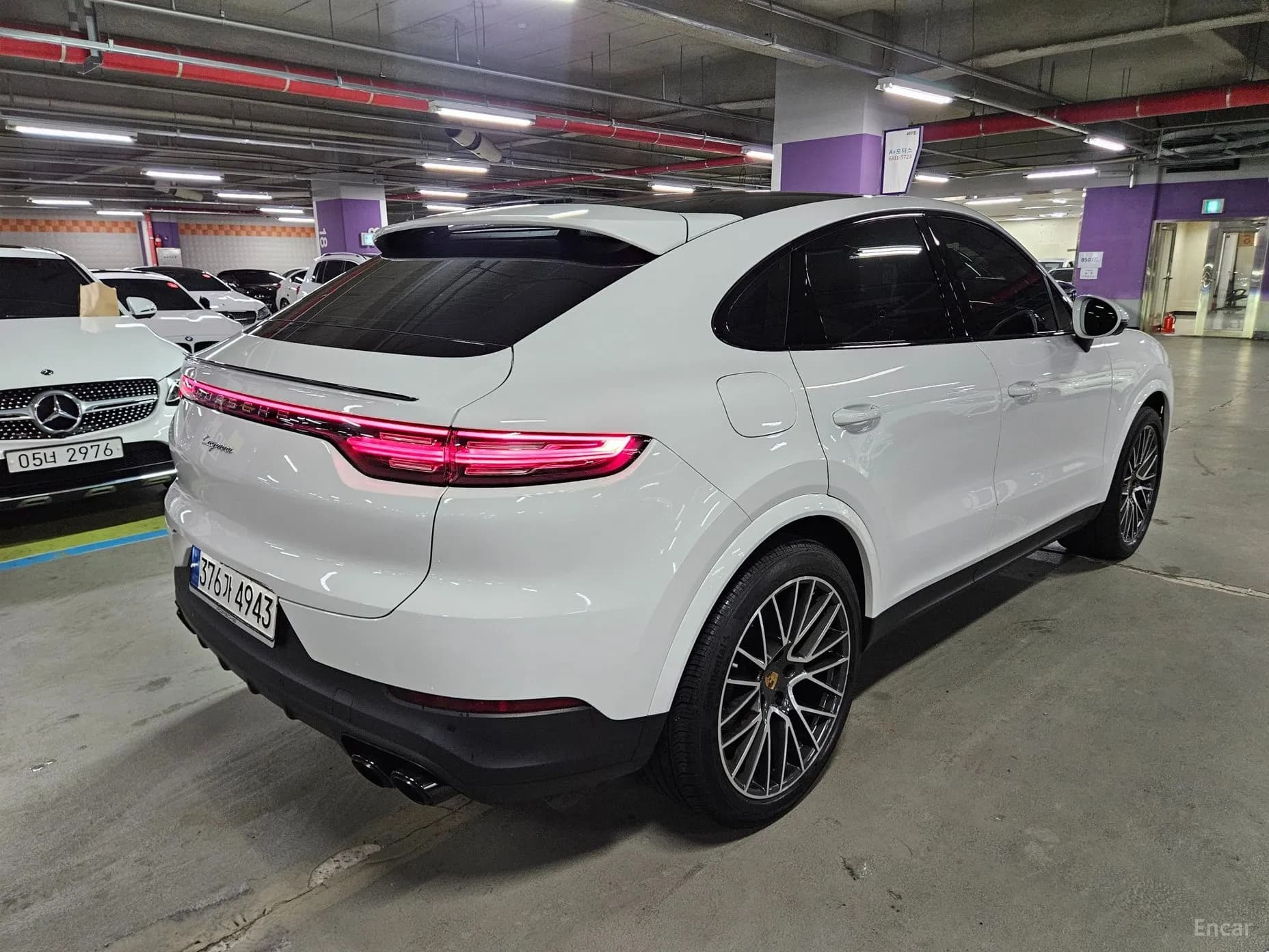 Cayenne (PO536)